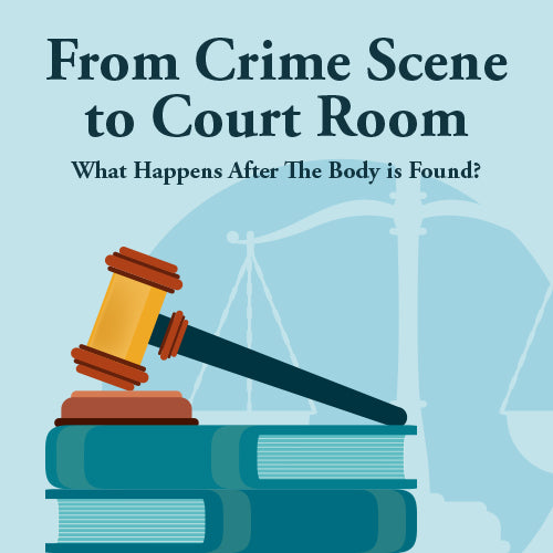 From Crime Scene to Court Room: What Happens After The Body Is Found?